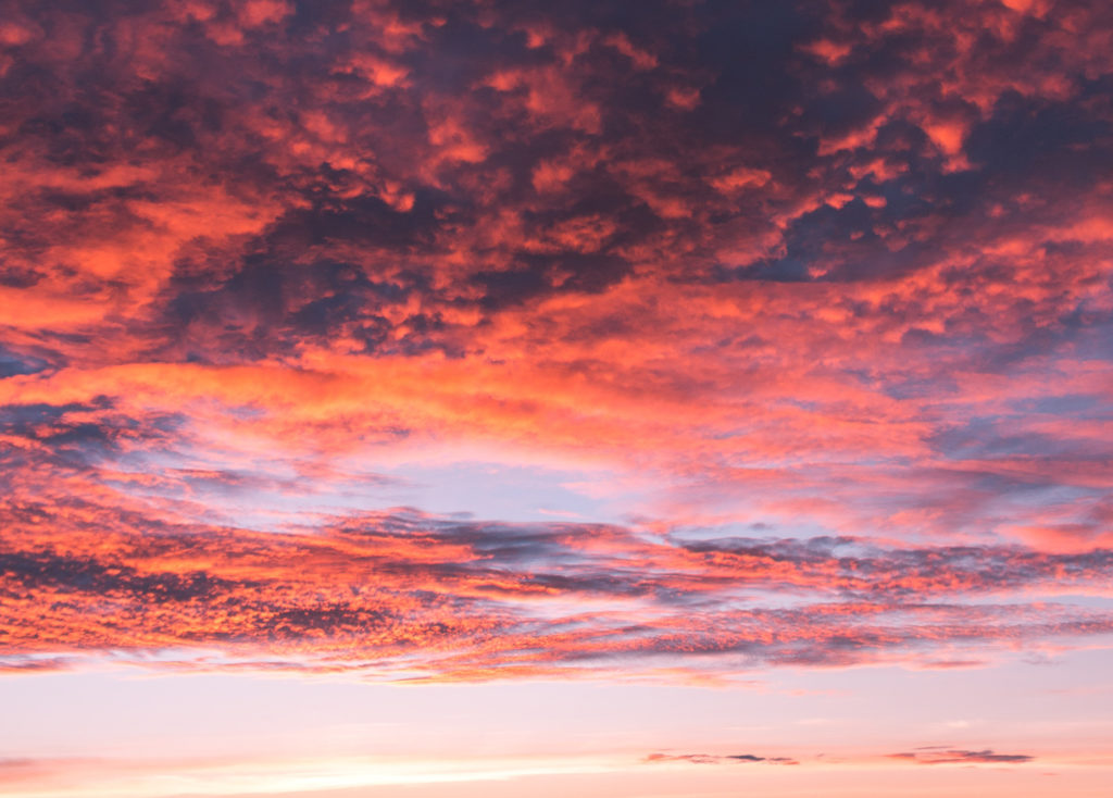 A Disruptive Treatment Paradigm with Andrea Turnipseed, LCSW and Brent